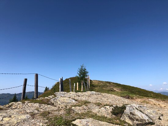 Landhotel Lindenhof-官方