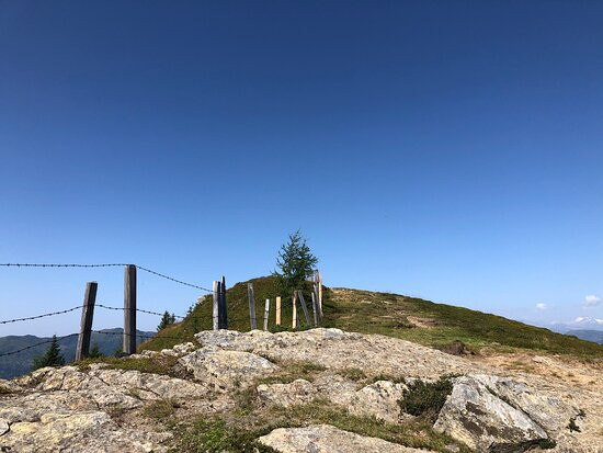 Landhotel Lindenhof主图