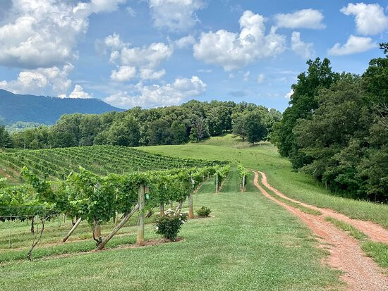 Addison Farms Vineyard-Leicester必去景点