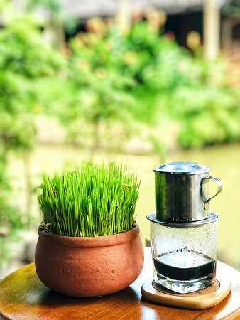 Hieu's  Cottage主图