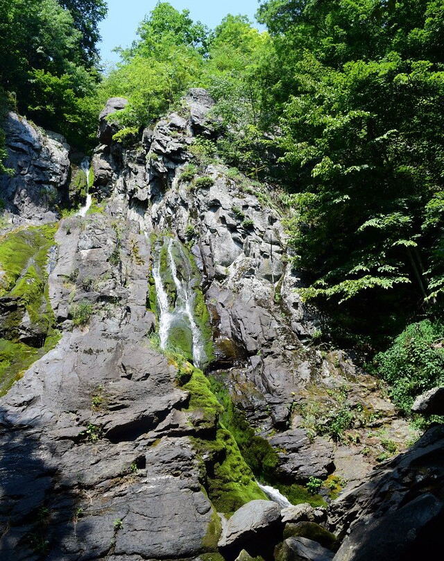 South River Falls Trail景点图片