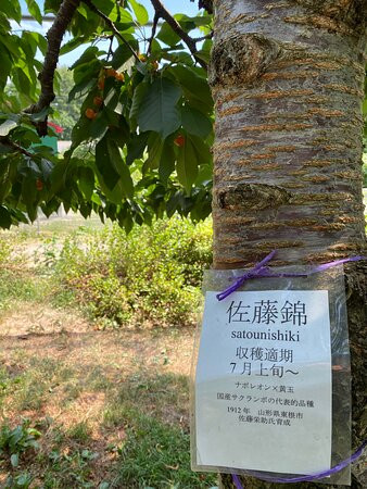 Koukaen-仁木町必去景点