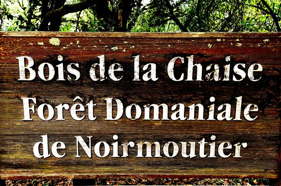 Bois de la Chaise景点图片