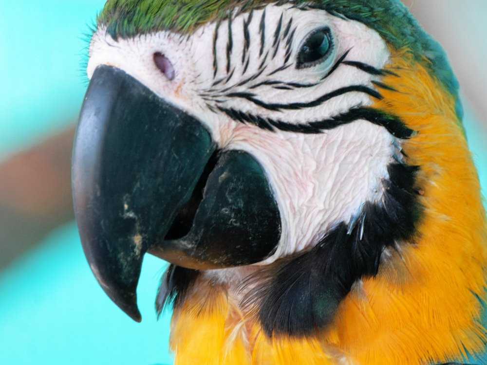 Fundera Park-Yelagiri必去景点