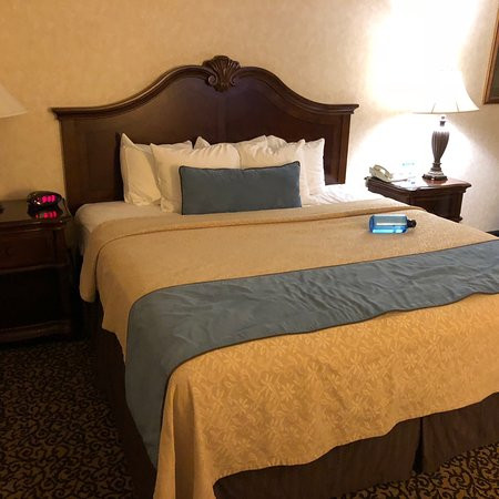 Best Western Plus Steeplegate Inn主图