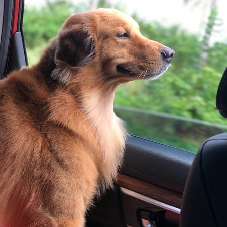 Marem Pension House主图