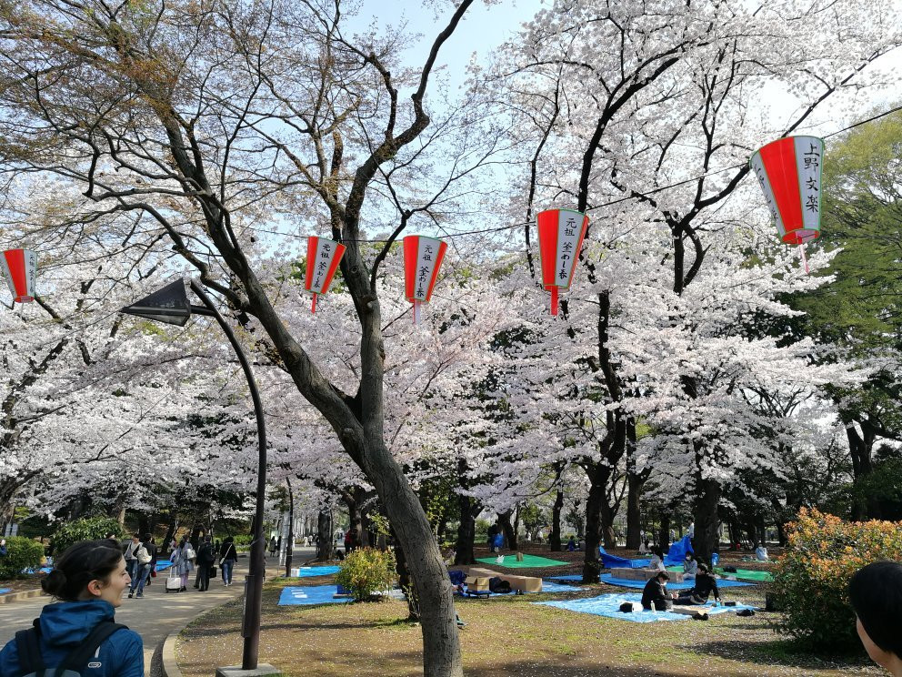 Parco-ya Ueno景点图片