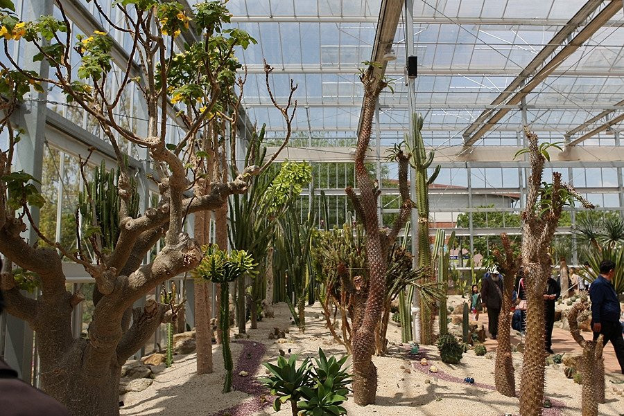 Hampyeong Expo Park - Natural Ecological Museum景点图片