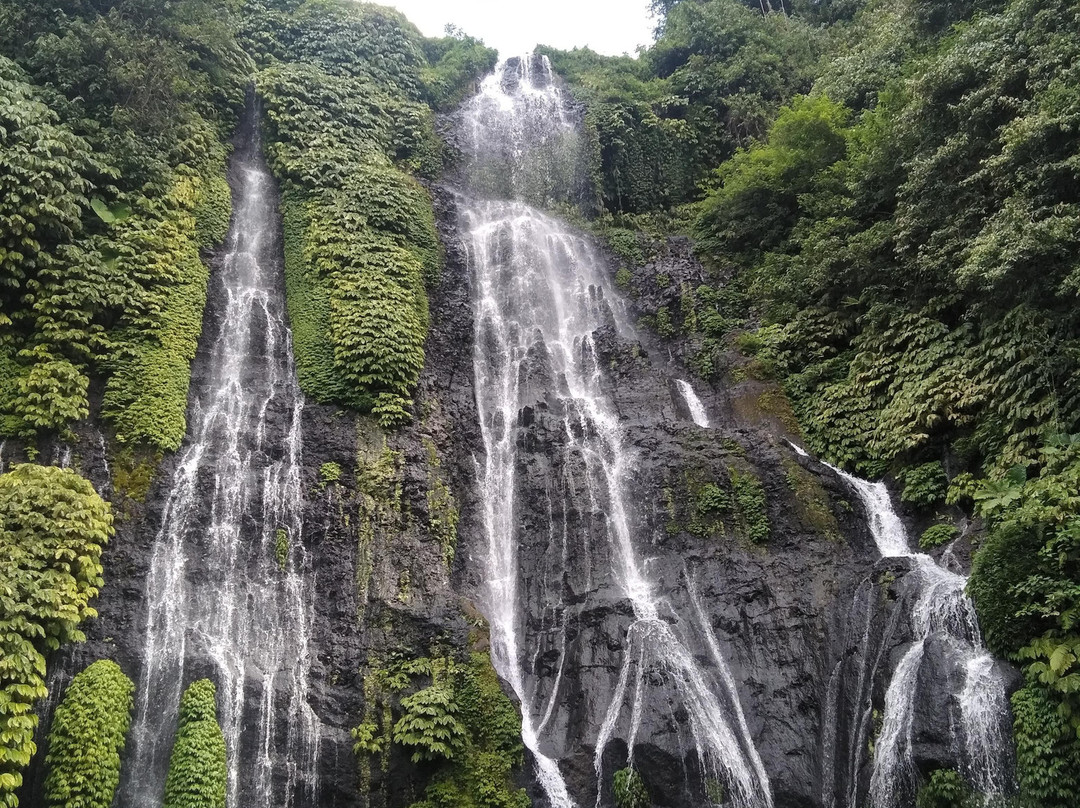 I wayan Lister景点图片