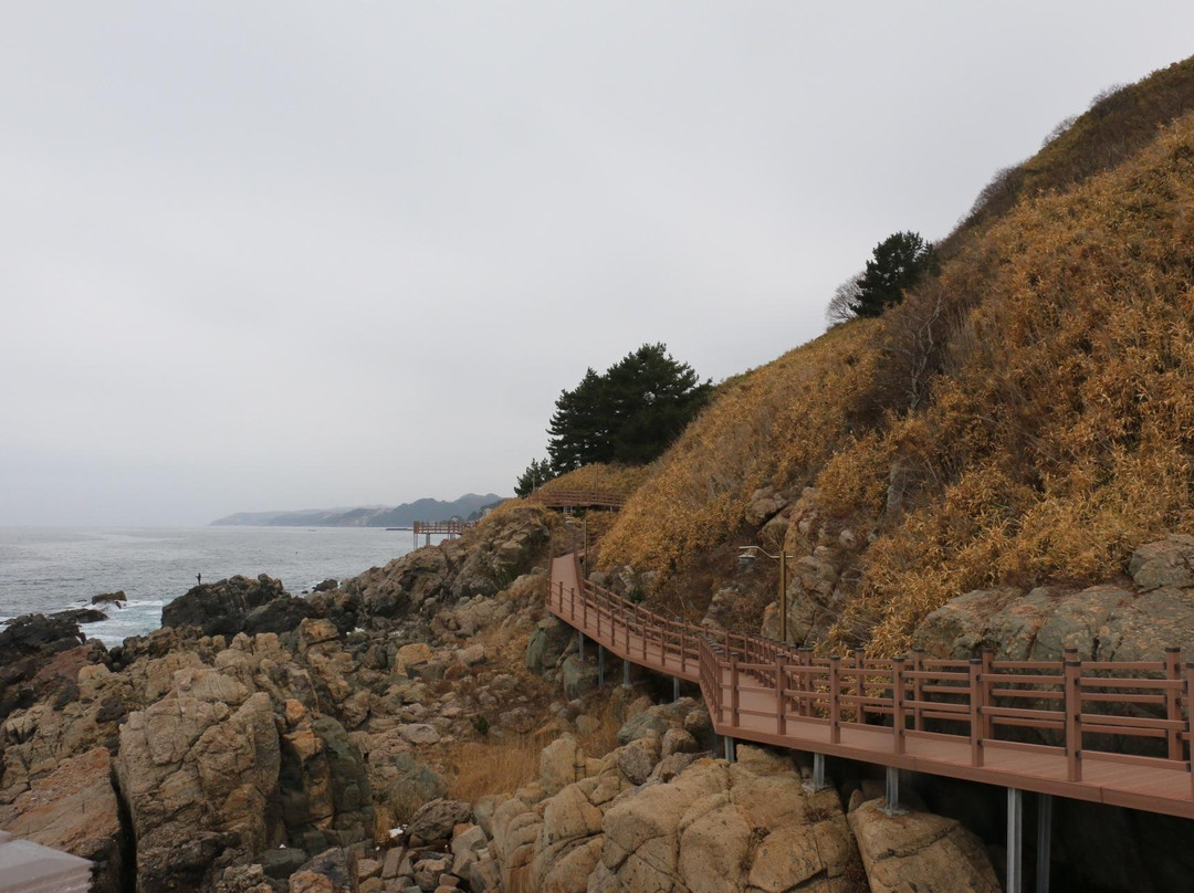 Yeongdeok BlueRoad-盈德郡必去景点