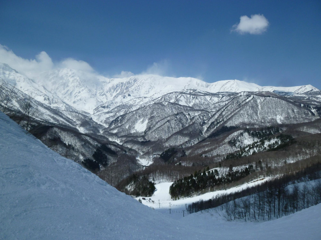 Hakuba Iwatake Mountain Resort景点图片