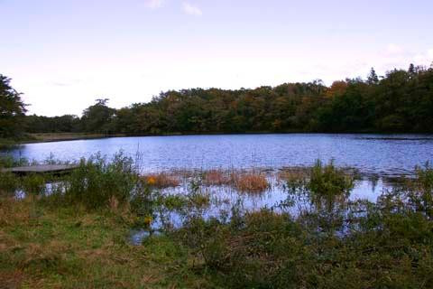 Kuchinashi Pond景点图片