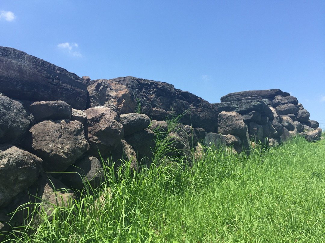 Hachimanyama Tomb Mound景点图片