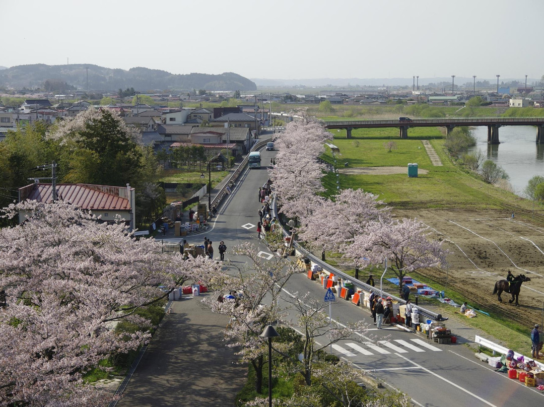 远田郡旅游攻略图片