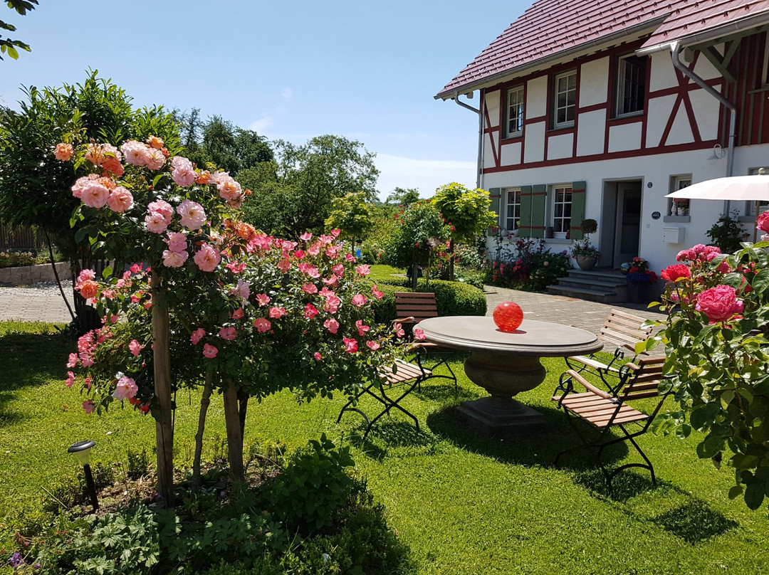 Oberteuringen酒店住宿-Landgut Apfelrose