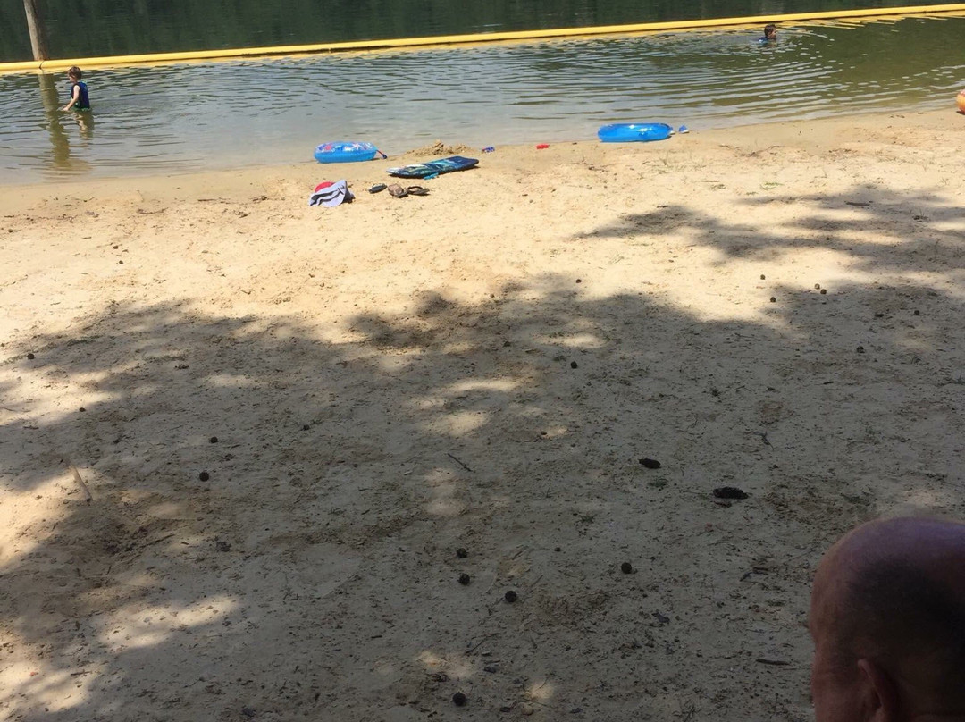 Brookwood旅游攻略图片