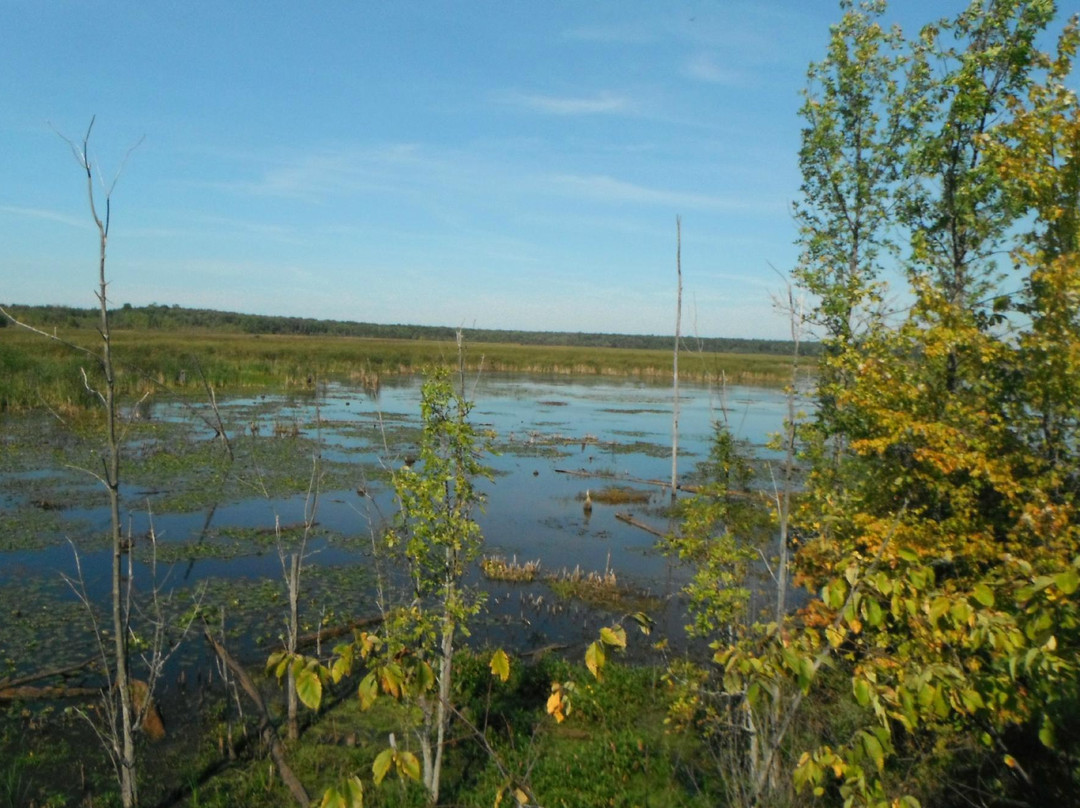 Tiny Marsh Provincial Wildlife Area景点图片