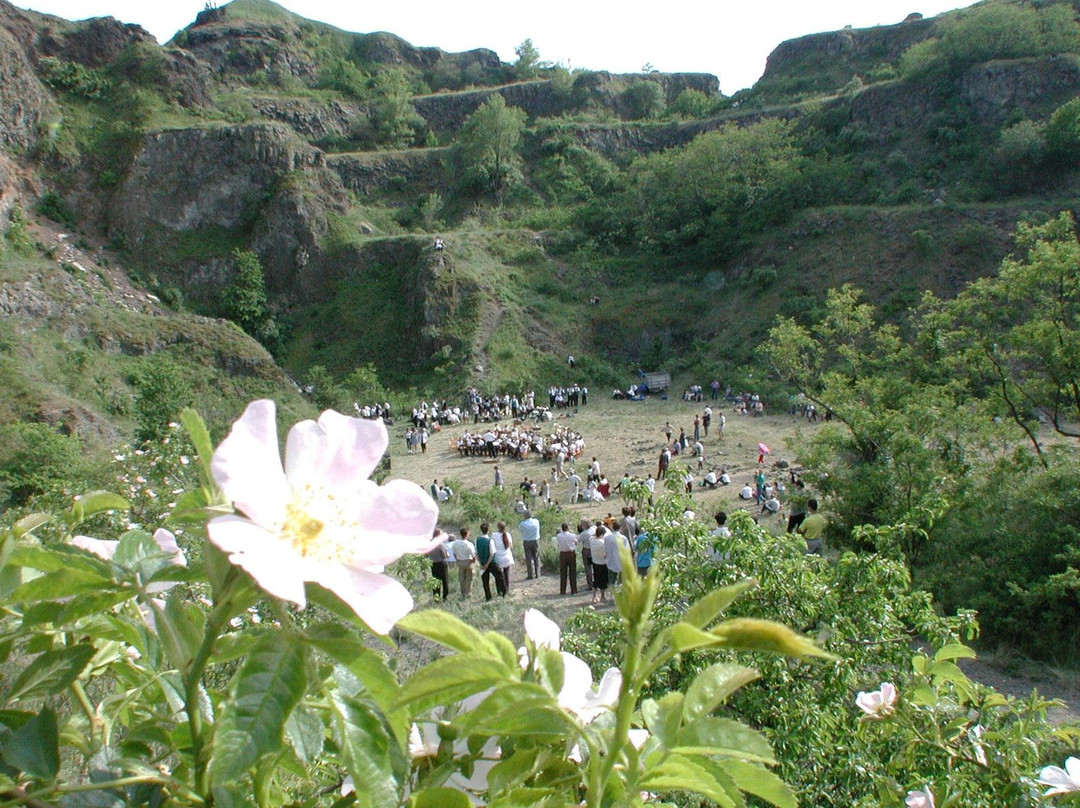 Celldomolk旅游攻略图片