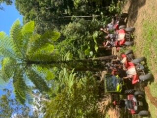Kuranda Rainforest Journeys ATV Tours-凯恩斯必去景点