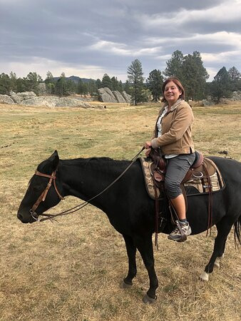 Hollingsworth Horses-卡斯特必去景点