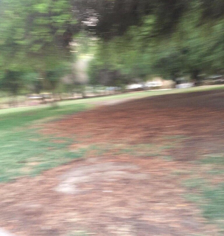 Mubarak Al-Kabeer Governorate旅游攻略图片