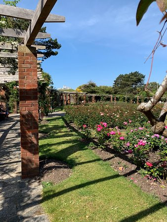 Southsea Rose Garden景点图片