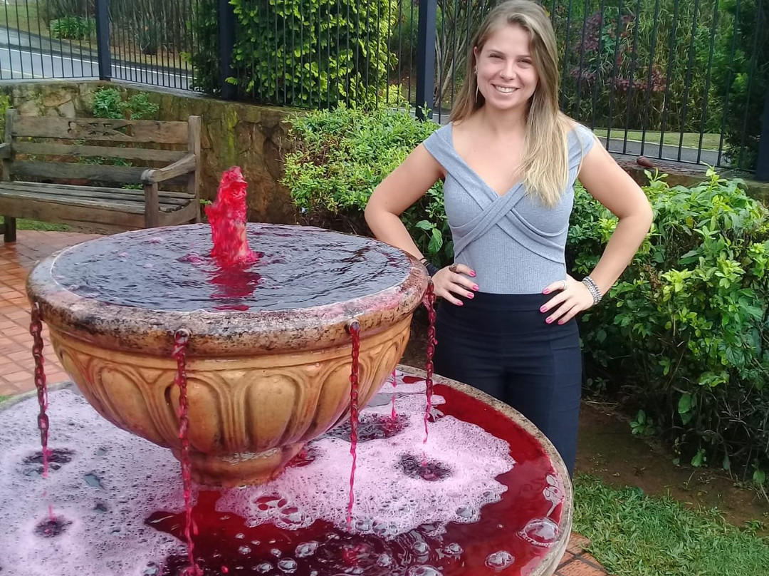 Wine Museum-Sao Roque必去景点