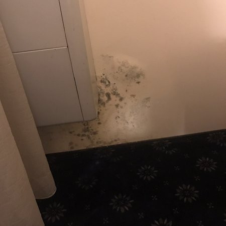 Hotel Coandi主图