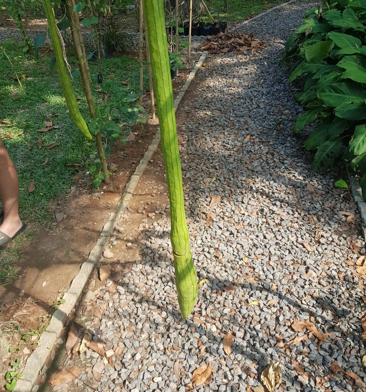 Na Tin Spicy Garden-奥南必去景点
