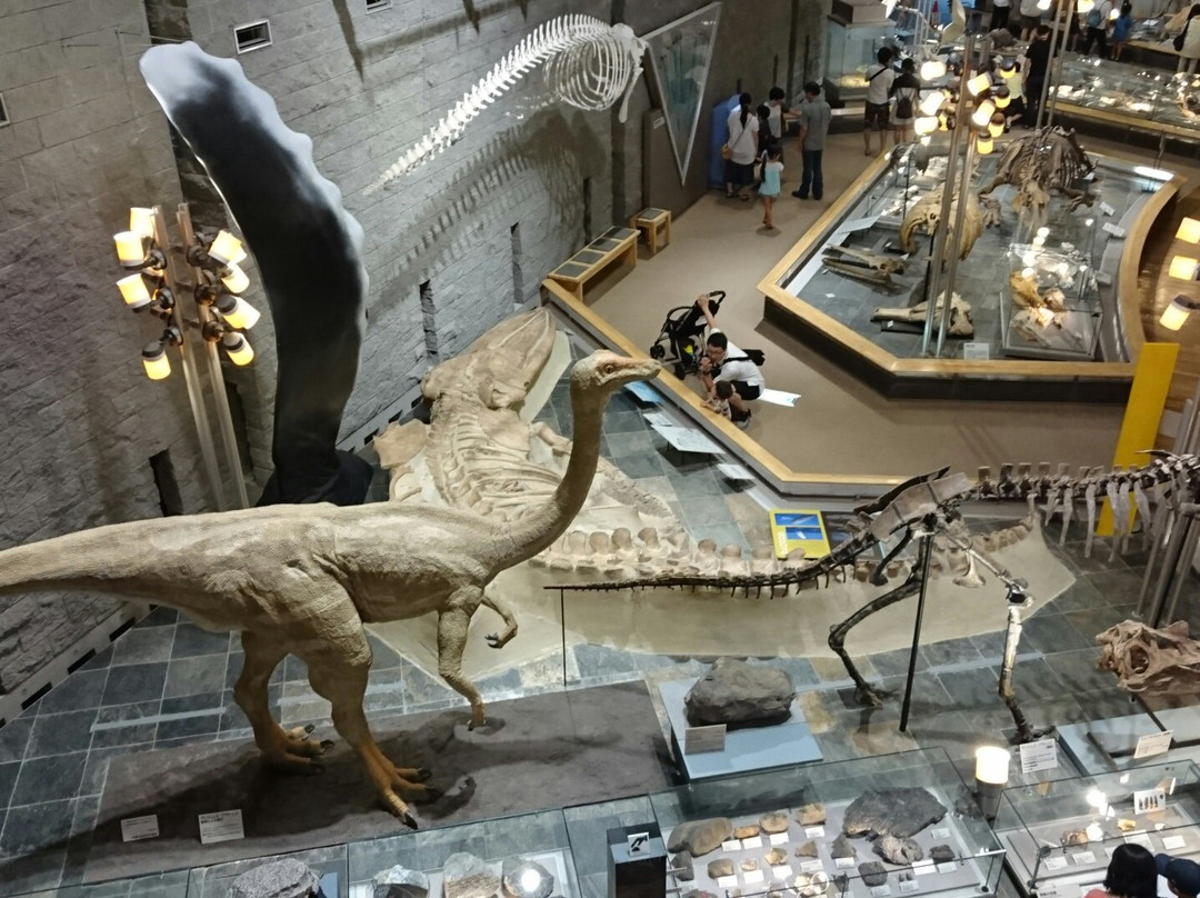 Gunma Natural Museum景点图片