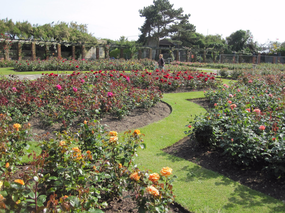 Southsea Rose Garden景点图片