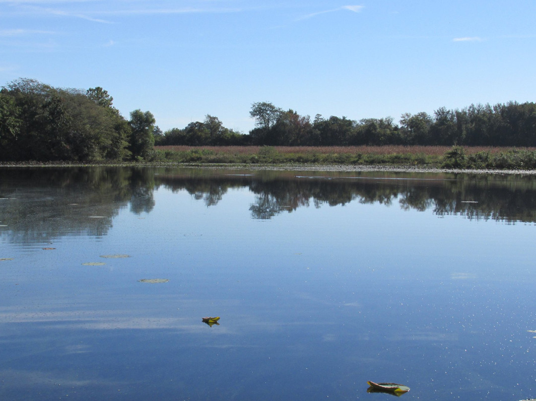Marion旅游攻略图片