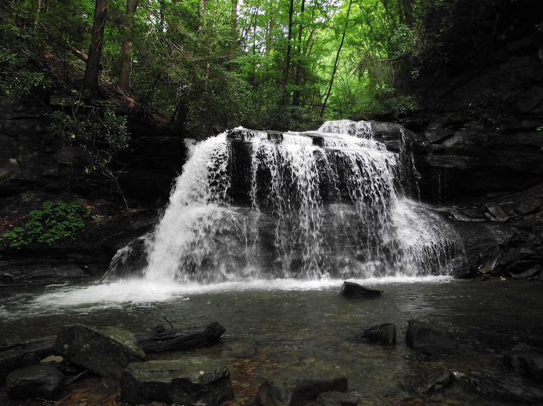 Holly River State Park景点图片