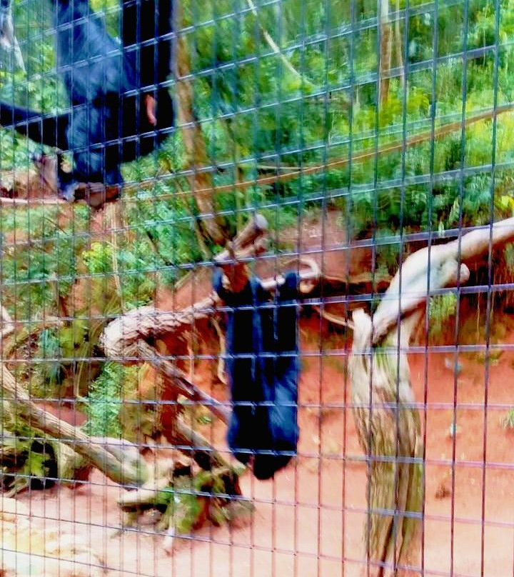 Zooparque-Itatiba必去景点