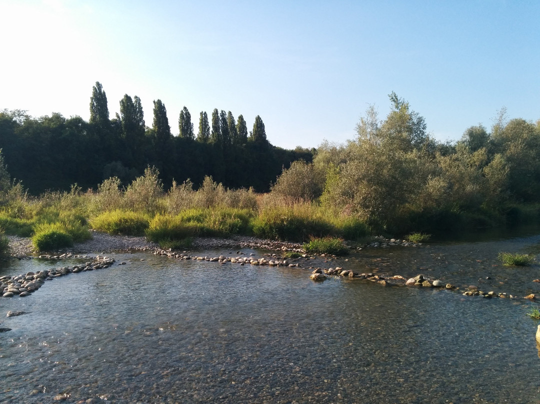 Rheingärten-Neuenburg am Rhein必去景点