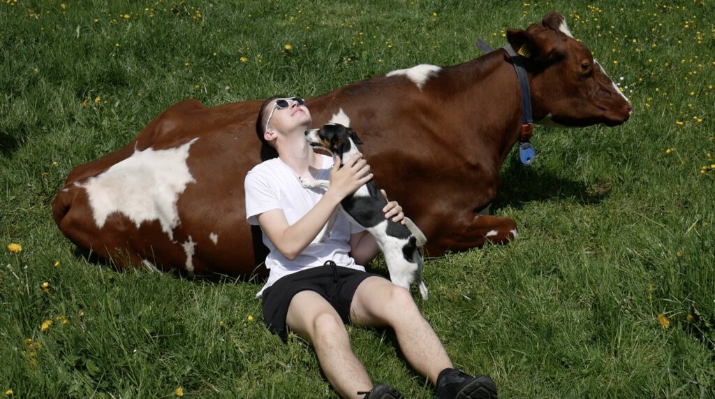 Hug & Mooh-Petit-Va必去景点