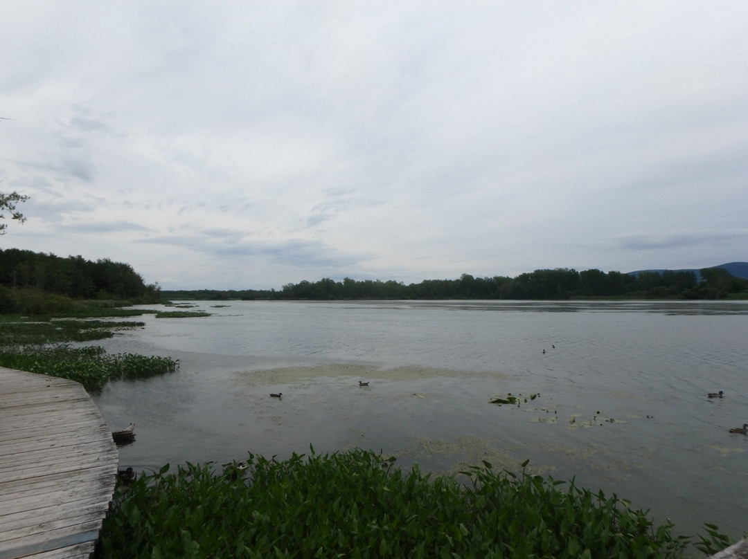 Centre d'Interprétation de la Nature du Lac Boivin景点图片