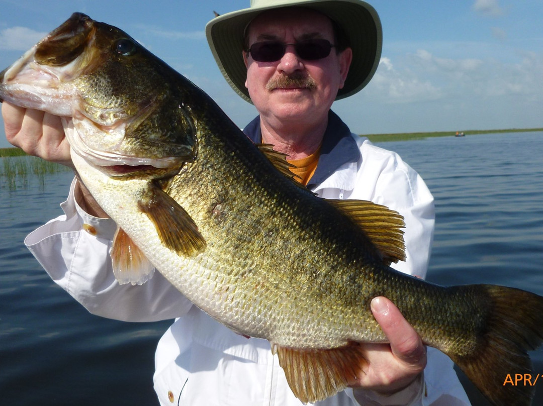 Okeechobee Bass Guide Service景点图片