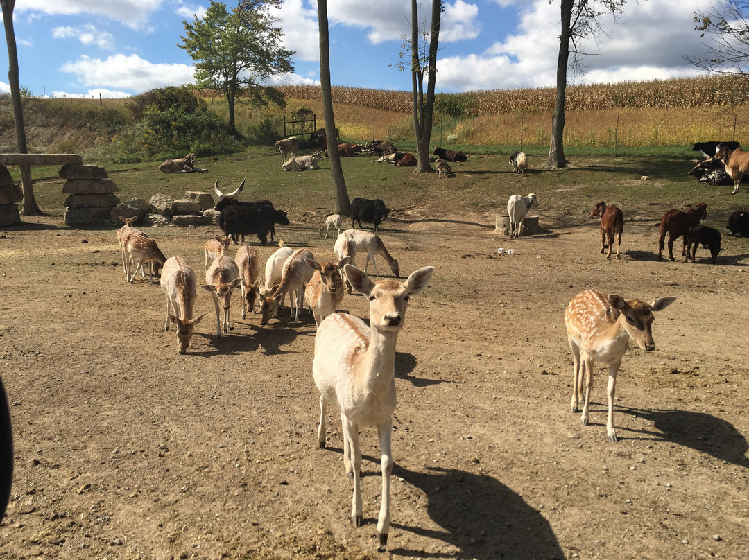 The Farm at Walnut Creek景点图片