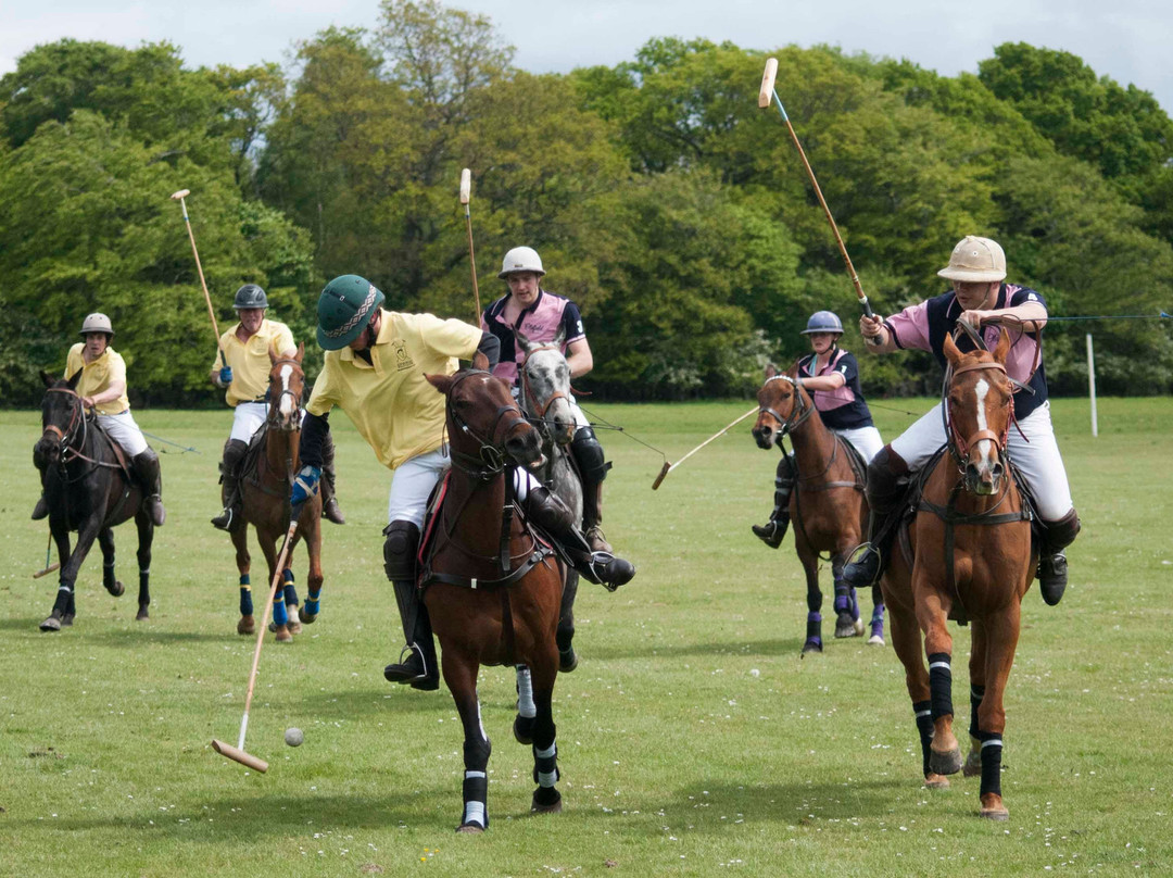Edinburgh Polo Club-爱丁堡必去景点