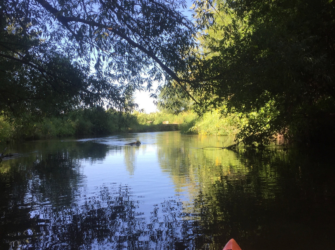 Kinni Kayak景点图片