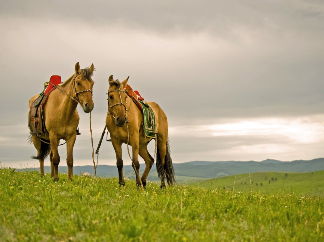 Selena Travel Mongolia-乌兰巴托必去景点