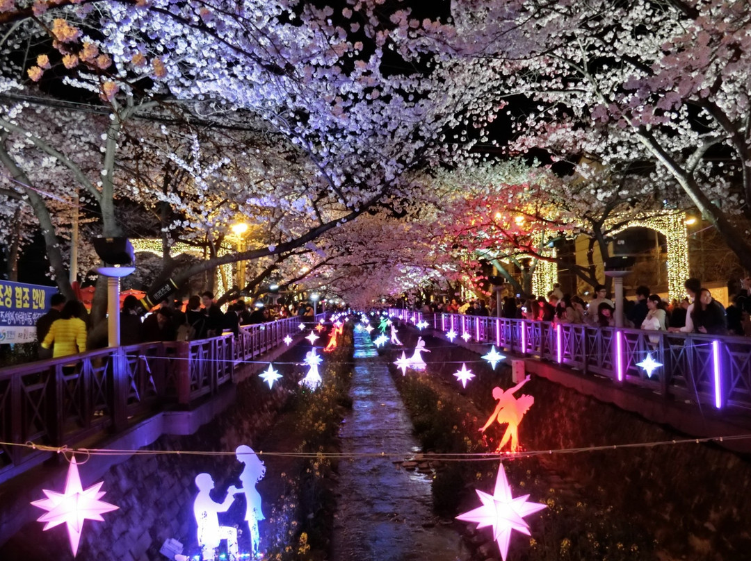 昌原市旅游景点-Yeojwacheon Romance Bridge