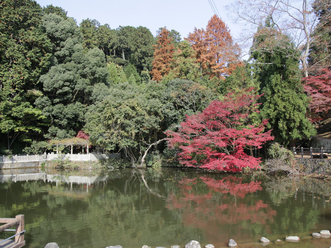 肉粟市旅游景点-Saijosan Park Momiji Yama