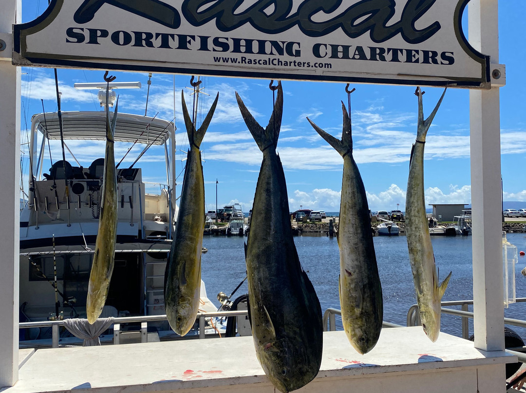 Rascal Charters-毛伊岛必去景点