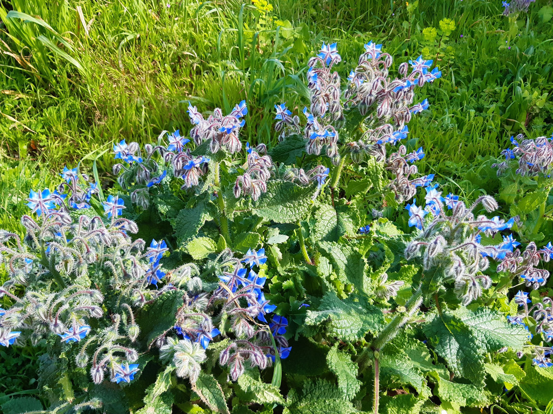 Sentiero Argentiera Nurra-Argentiera必去景点