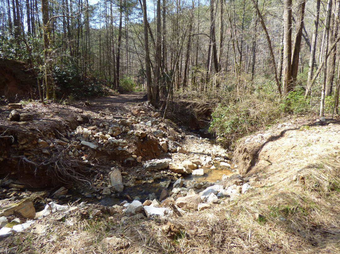 Reedy Branch Falls景点图片