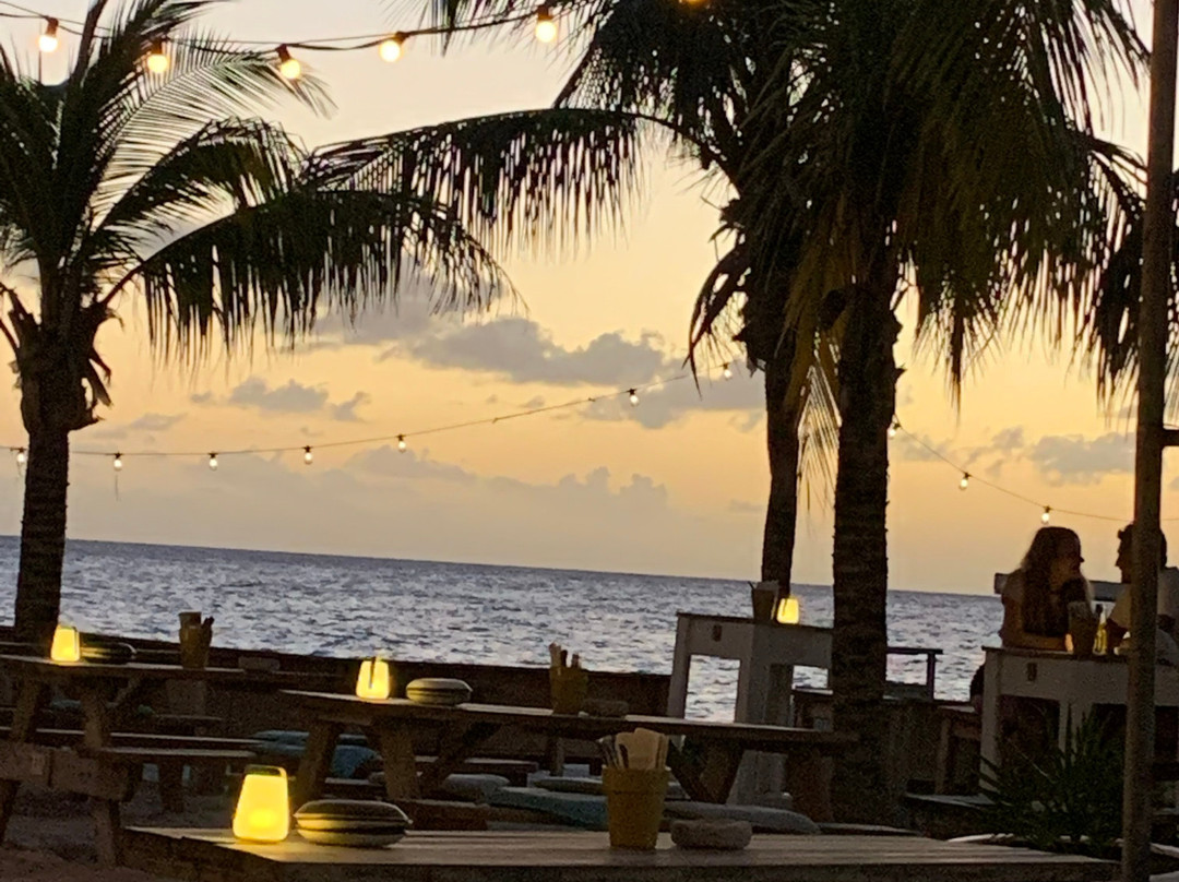 Hibiscus Beach House bed & breakfast主图