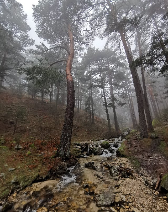 Valle de la Fuenfria-Cercedilla必去景点