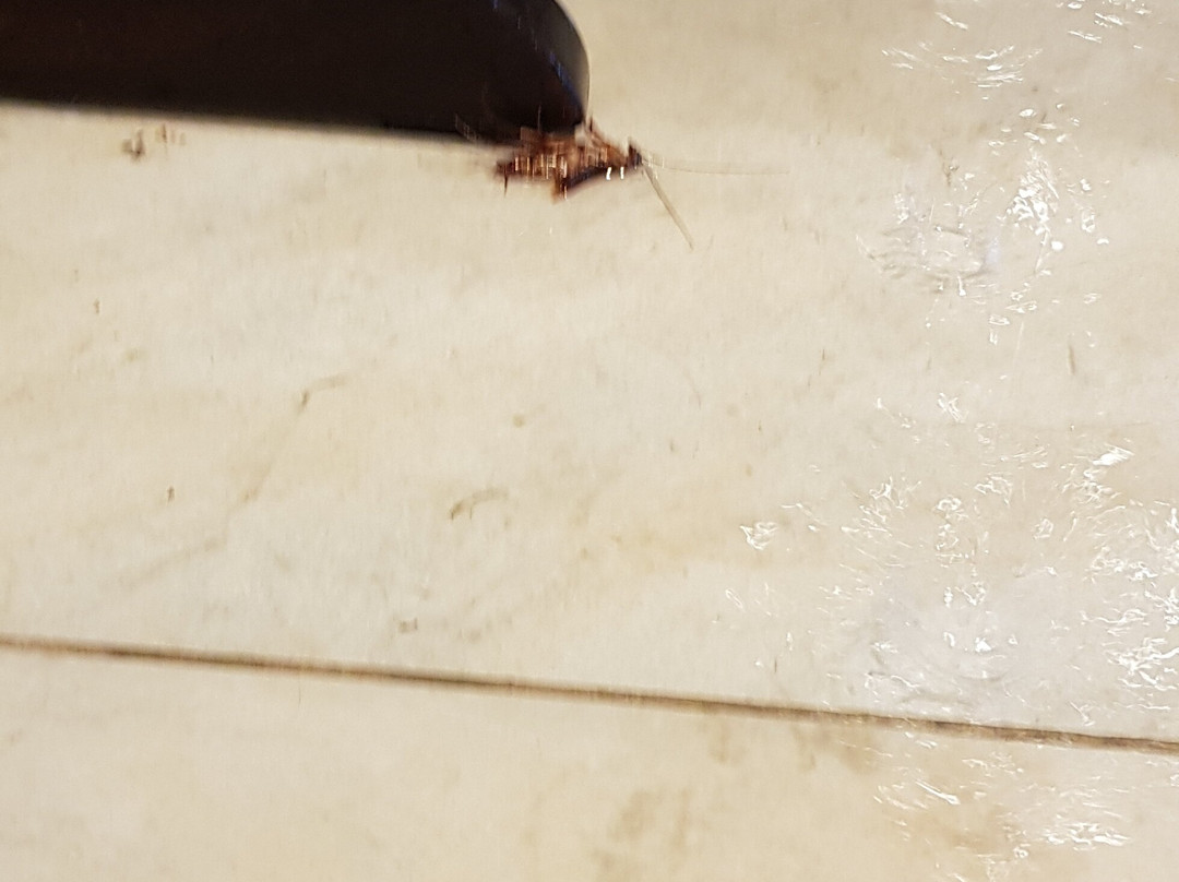 Bessa Beach Hotel主图